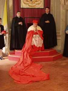 cappa magna being worn by a cardinal